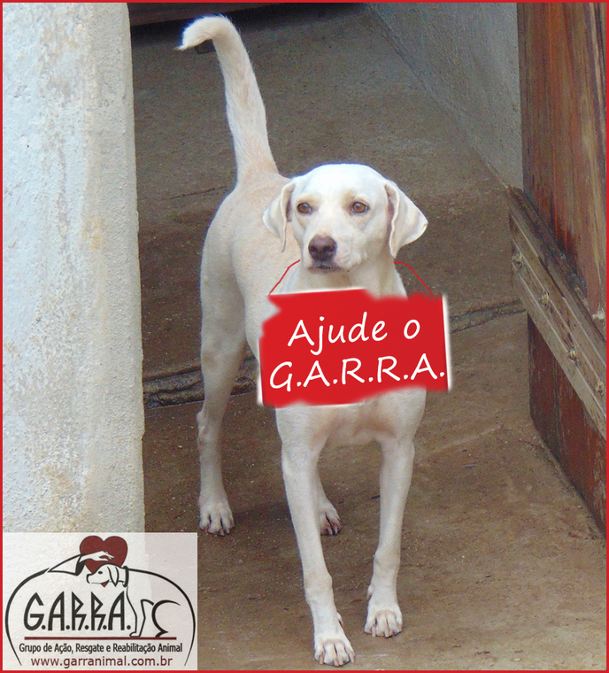 Thumb 11ajuda ogarra
