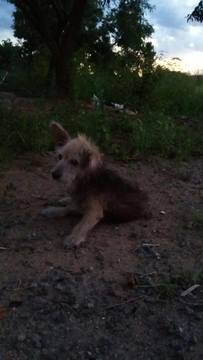 Thumb 12656240 891045554345688 1802116556 o