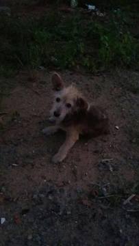 Thumb 12696565 891045621012348 297127783 o