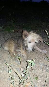 Thumb 12669917 891045634345680 679645716 o