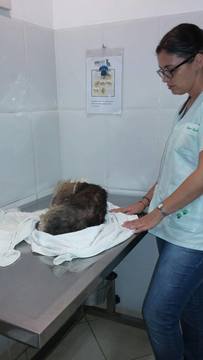 Thumb 12695440 891045531012357 1825505206 o