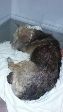 Thumb 12674839 891045481012362 1714862500 o