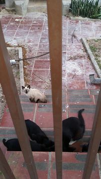 Thumb img 20160126 wa0003