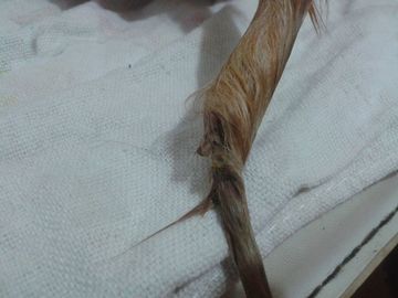 Thumb img 20160214 wa0005
