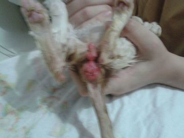 Thumb img 20160214 wa0010