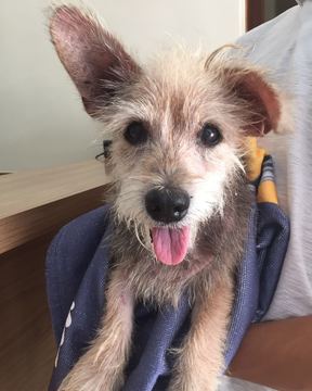 Thumb img 20160204 wa0016