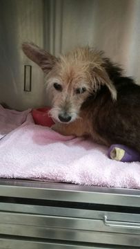 Thumb img 20160211 wa0017