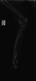 Thumb img 9115