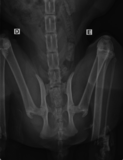 Thumb img 9113