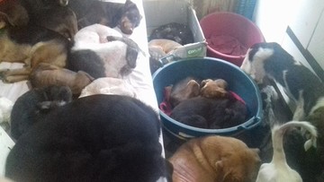 Thumb 934132 999377336817457 1252759879305617532 n