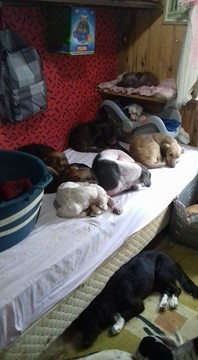 Thumb 994727 999377866817404 2056759093805734117 n