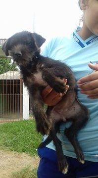 Thumb 12919679 1003044239784100 315180419624396979 n