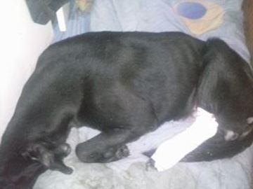 Thumb 13046166 1018072118281312 536519537 n