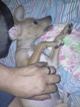 Thumb 13082110 1018008981620959 1936979498 n  1 