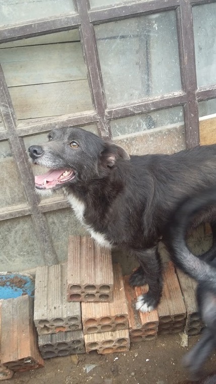 Thumb 20151221 144143