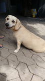 Thumb img 20150501 110145921