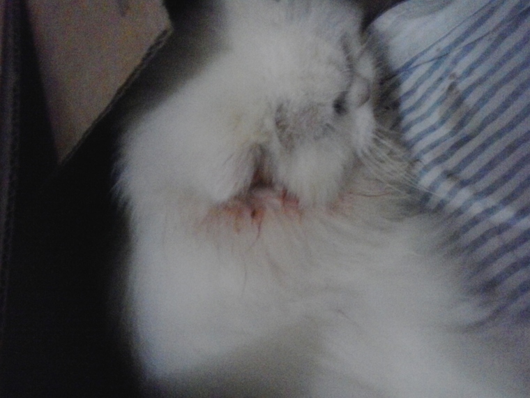 Thumb 20150627 200553 1