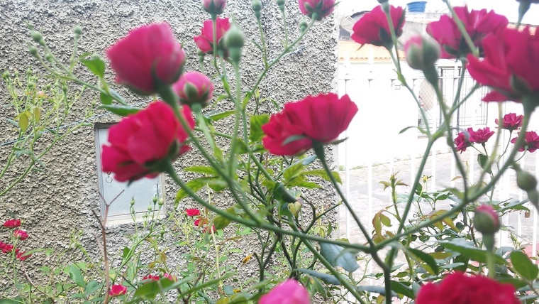 Thumb 20150621 113150