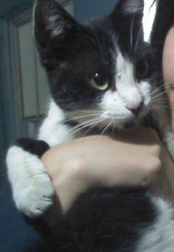 Thumb img 20150708 wa0003