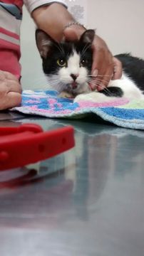 Thumb img 20150717 wa0012