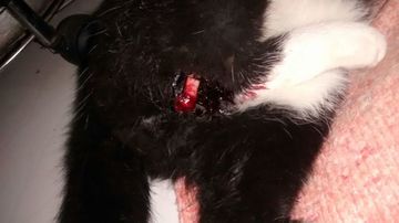 Thumb img 20150717 wa0011