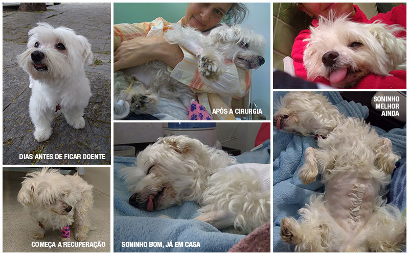 Doentinha, mas vai ficar boa